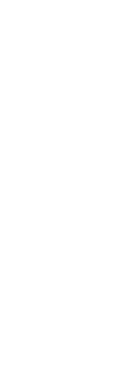 HOME 78 L