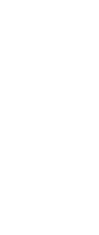 PALACE LINER S-WAY 93 MB