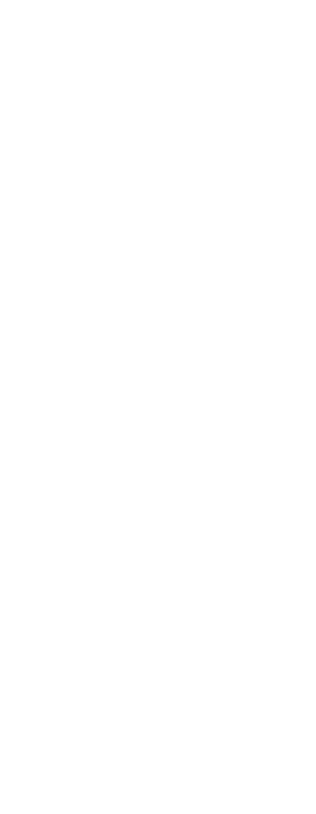 PALACE LINER S-WAY 99 GB